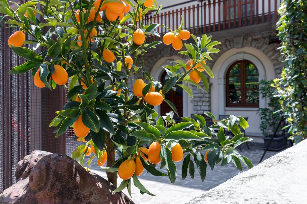 Villa Mariarosa Apartments تينيالي المظهر الخارجي الصورة
